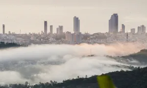 'Săn' mây ở Nha Trang